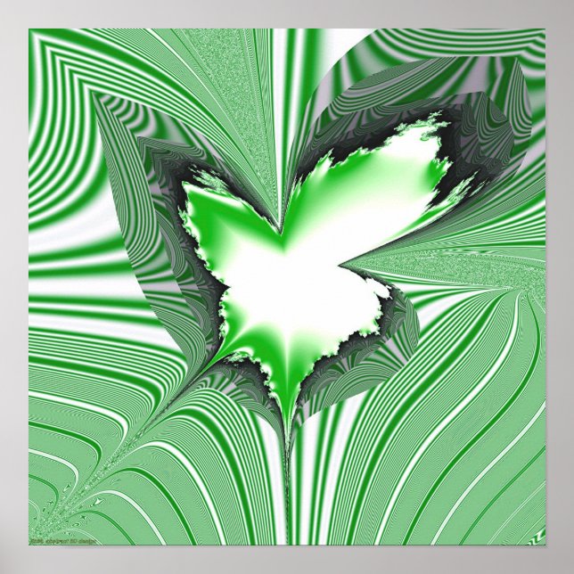 Fractal Projection 1.4g2 Poster (Front)