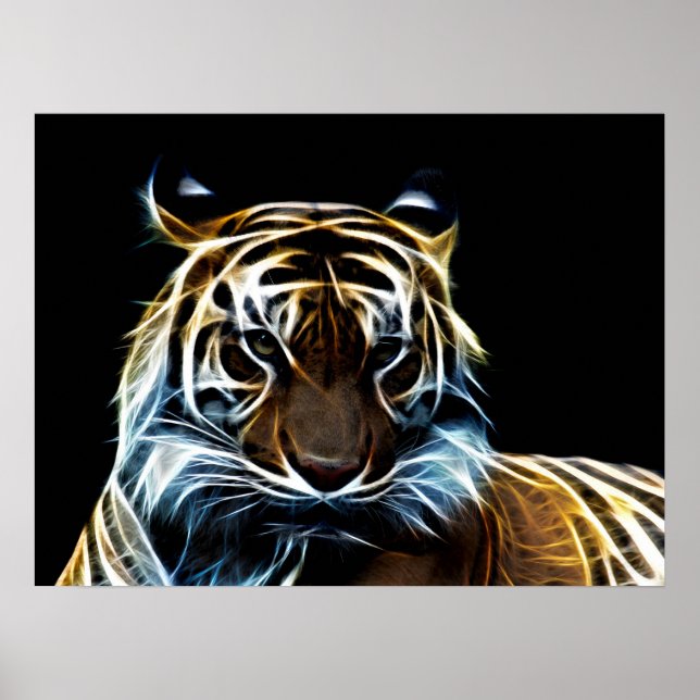 Fractal tiger poster (Front)