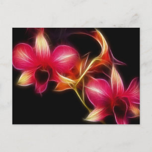 Fractalius Pink Orchid Postcard