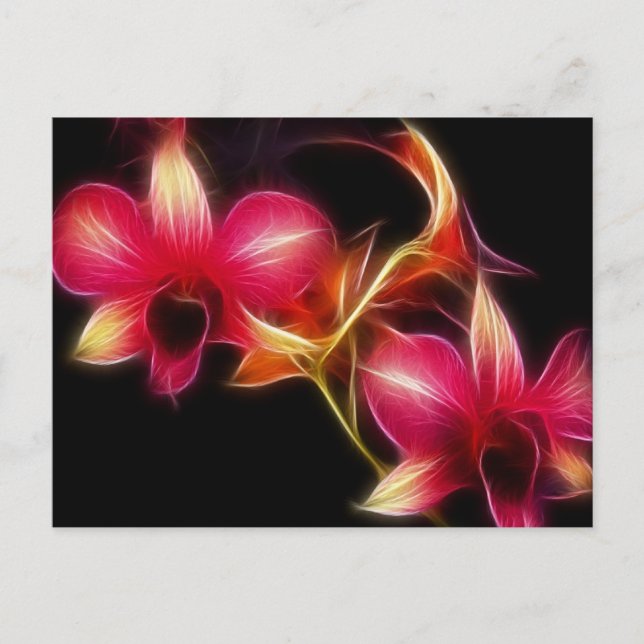 Fractalius Pink Orchid Postcard (Front)