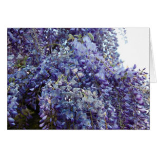 Fragrance in Blue