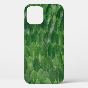 FRAGRANT BAY LEAVES GROW ON LARGE DECIDUOUS TREES iPhone 12 CASE