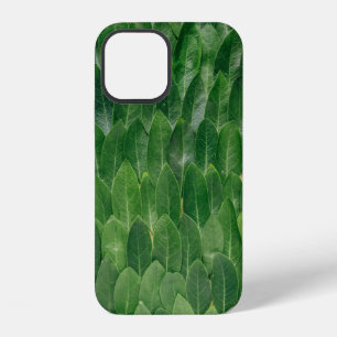 FRAGRANT BAY LEAVES GROW ON LARGE DECIDUOUS TREES iPhone 12 CASE
