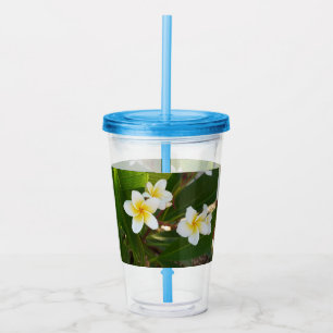 Fragrant Frangipani Flowers Acrylic Tumbler