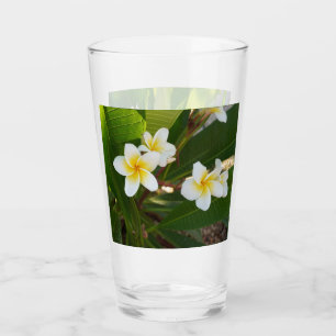  Fragrant Frangipani Flowers  Glass