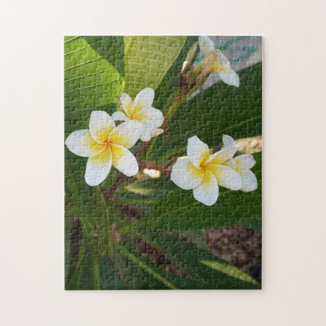  Fragrant Frangipani Flowers  Jigsaw Puzzle (Vertical)