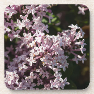 Fragrant Lilac Coaster