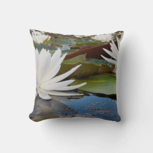 Fragrant Water Lily (Nymphaea Odorata) On Caddo Cushion