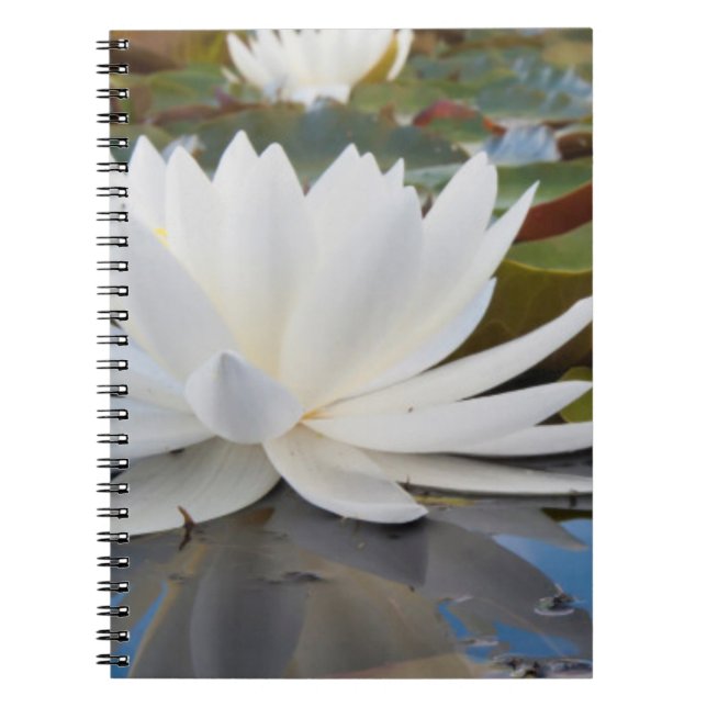 Fragrant Water Lily (Nymphaea Odorata) On Caddo Notebook (Front)