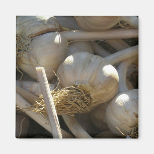 Fragrantly Delicious in Raw Form Magnet