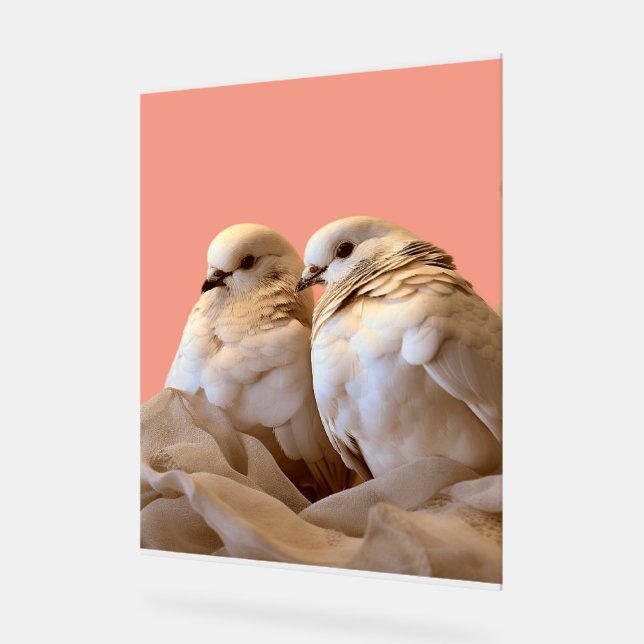 frame acrylic sign (Angle)