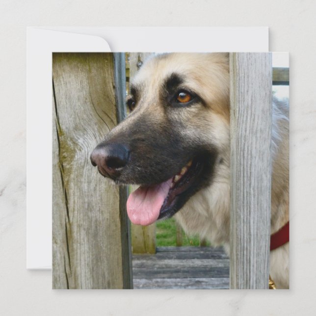 Framed   card (Front)