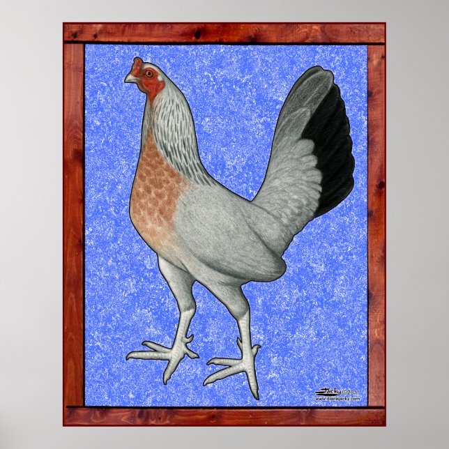 Framed Game Hen Poster (Front)
