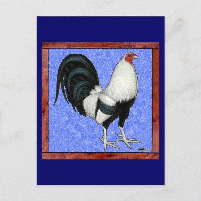 Framed Gamecock Postcard (Front)