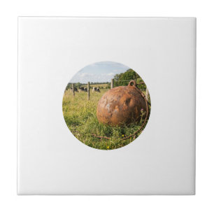 framed image is a template ceramic tile