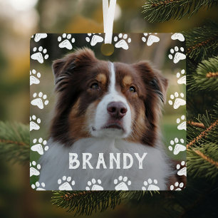 Framed Pet Name 2 Photo Metal Tree Decoration