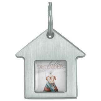 Framed Pet Tag