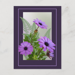 Framed Purple Daisies Postcard - TBA