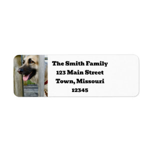 Framed Return Address Label