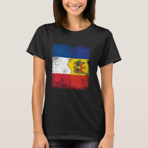 France Argentina Flags Half Moldovan French Roots T-Shirt