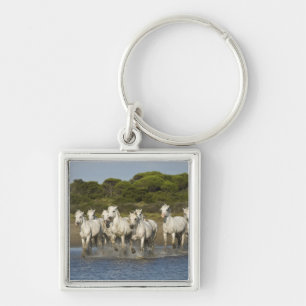 France, Camargue. Horses run through the estuary 3 Key Ring