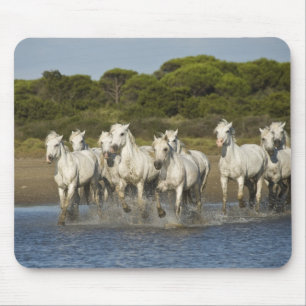 France, Camargue. Horses run through the estuary 3 Mouse Pad