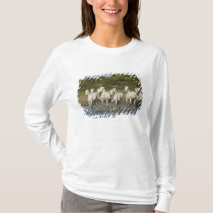 France, Camargue. Horses run through the estuary 3 T-Shirt