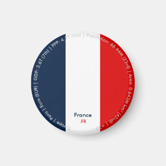 France Flag Magnet