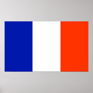 france flag poster