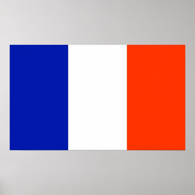 france flag poster (Front)