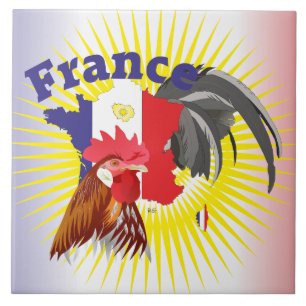 France - France Fliese Ceramic Tile