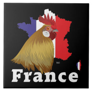 France - France Fliese Ceramic Tile