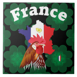 France - France Fliese Tile
