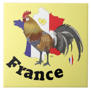 France - France Fliese Tile