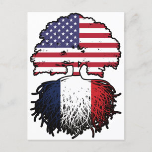 France French American USA United States America Postcard