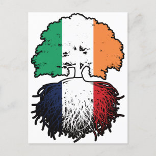 France French Irish Ireland Tree Roots Flag Postcard