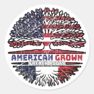 France French US American USA United States Tree Classic Round Sticker