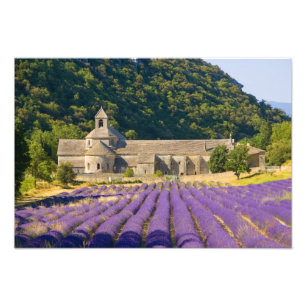 France, Gordes. Cistercian monastery of Photo Print
