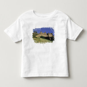 FRANCE, Languedoc Carcassonne Toddler T-Shirt