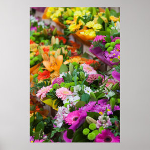 France, Nord, French Flanders, Lille, Wazemmes Poster