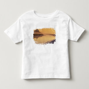 FRANCE, Normandy Mont St. Michel. Morning Light Toddler T-Shirt