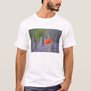 France, Provence. Lone poppy in field of T-Shirt
