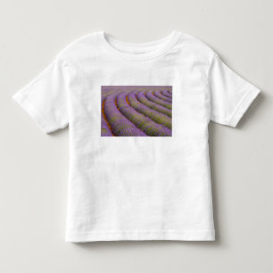 France, Provence region. Curved rows of Toddler T-Shirt