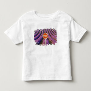 France, Provence. Rows of lavender and stop Toddler T-Shirt
