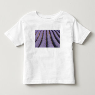 France, Provence. Rows of lavender in bloom. 2 Toddler T-Shirt