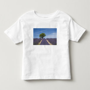 France, Provence. Rows of lavender in bloom. 4 Toddler T-Shirt