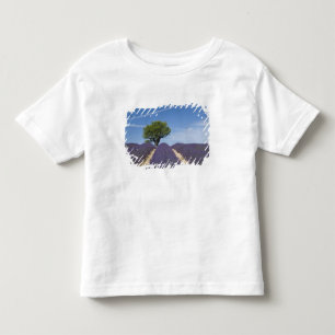 France, Provence. Rows of lavender in bloom. 4 Toddler T-Shirt