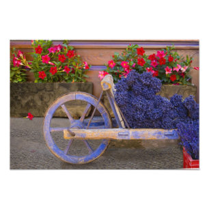 France, Provence, Sault. Old wooden cart with Photo Print