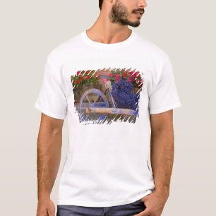 France, Provence, Sault. Old wooden cart with T-Shirt