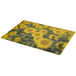 France, Provence, Valensole. Field of Cutting Board